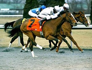 General Election Upsets Battaglia Memorial General Election Upsets Battaglia Memorial