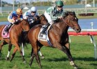 Centre Court Sharp in Honey Fox Season Debut Centre Court Sharp in Honey Fox Season Debut