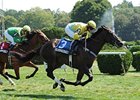 Demonstrative winning the Turf Writers Cup.