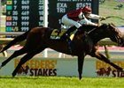 Marlang strides to the wire to take the Breeders' Stakes, the third leg of the Canadian Triple Crown, on Aug. 3 at Woodbine.