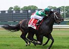 Krypton is the 118 pound highweight in the Jamaica Handicap. <br><a target="blank" href="http://www.bloodhorse.com/horse-racing/photo-store?ref=http%3A%2F%2Fpictopia.com%2Fperl%2Fgal%3Fprovider_id%3D368%26ptp_photo_id%3D9052669%26ref%3Dstory">Order This Photo</a>