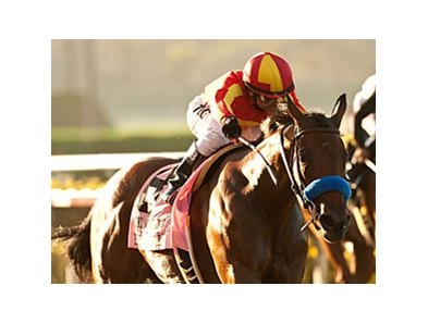 Executiveprivilege is a perfect 4 for 4 in her career.