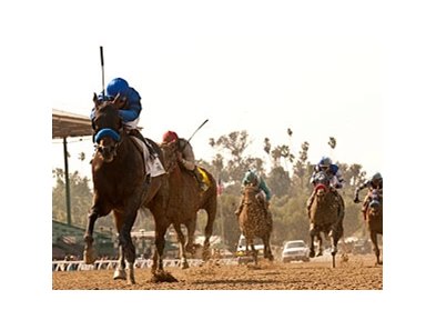 Sky Kingdom leaves the others behind in the Tokyo City Cup at Santa Anita.