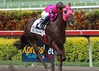 Finallymadeit cruises to a Skip Away victory.
<br><a target="blank" href="http://www.bloodhorse.com/horse-racing/photo-store?ref=http%3A%2F%2Fpictopia.com%2Fperl%2Fgal%3Fprovider_id%3D368%26ptp_photo_id%3D7980101%26ref%3Dstory">Order This Photo</a>