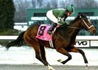 Mac the Man, Allanah Take Turfway Stakes Mac the Man, Allanah Take Turfway Stakes