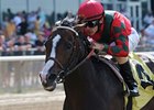 Multiple Grade I Winner Flat Out Retired Multiple Grade I Winner Flat Out Retired