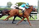 Madame Cactus gets up late to win the Lexus Raven Run.