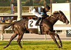 Mizdirection wins the Buena Vista Stakes.