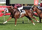 Apache Cat Pounces in the T.J. Smith Apache Cat Pounces in the T.J. Smith