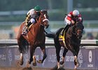 Nov. 3 Breeders' Cup Classic received a 2.0 national rating on NBC.<br><a target="blank" href="http://photos.bloodhorse.com/BreedersCup/2012-Breeders-Cup/Classic/26128658_j8xsjs#!i=2194603847&k=jVZgqdP">Order This Photo</a>