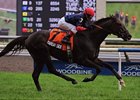 Marsh Side pulls away to win the Sky Classic Stakes by five lengths.