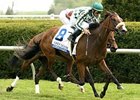 Bewitch winner Communique is out of the BC Filly & Mare Turf.