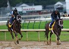 Uncle Mo and Stay Thirsty work at Churchill Downs.
<br><a target="blank" href="http://www.bloodhorse.com/horse-racing/photo-store?ref=http%3A%2F%2Fpictopia.com%2Fperl%2Fgal%3Fprovider_id%3D368%26ptp_photo_id%3D9509733%26ref%3Dstory">Order This Photo</a>