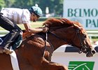 Inside Pedigrees: Drosselmeyer Inside Pedigrees: Drosselmeyer
