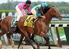Calidoscopio
<br><a target="blank" href="http://photos.bloodhorse.com/AtTheRaces-1/at-the-races-2013/27257665_QgCqdh#!i=2561233490&k=VdJQ8k5">Order This Photo</a>