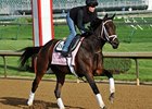 Unlimited Budget
<br><a target="blank" href="http://photos.bloodhorse.com/TripleCrown/2013-Triple-Crown/Kentucky-Derby-Workouts/29026796_jvcnn8#!i=2490707712&k=xM7m53N">Order This Photo</a>
