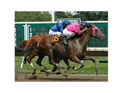 Gourmet Dinner won the Majestic Light Stakes in July.