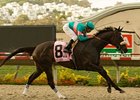 Zenyatta strolls to a Clement L. Hirsch win under Mike Smith.<br><a target="blank" href="http://www.bloodhorse.com/horse-racing/photo-store?ref=http%3A%2F%2Fpictopia.com%2Fperl%2Fgal%3Fprovider_id%3D368%26ptp_photo_id%3D5371640%26ref%3Dstory">Order This Photo</a>