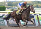 Overanalyze will break from the outside in the Gotham.<br><a target="blank" href="http://photos.bloodhorse.com/AtTheRaces-1/at-the-races-2012/22274956_jFd5jM#!i=2242437020&k=TVBS9PL">Order This Photo</a>