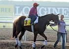 Little Mike
<br><a target="blank" href="http://photos.bloodhorse.com/AtTheRaces-1/at-the-races-2013/27257665_QgCqdh#!i=2430604535&k=fhcmHDw">Order This Photo</a>