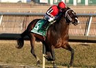Yawanna Twist in the General George Handicap.