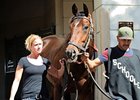 Point of Entry Works Toward 2013 Debut Point of Entry Works Toward 2013 Debut