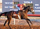 Peppers Pride will try for win number 19 in the New Mexico State Racing Commission Handicap at Sunland Park.