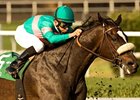 Zenyatta won 8 races at Hollywood Park, including the 2010 Lady's Secret.<br><a target="blank" href="http://www.bloodhorse.com/horse-racing/photo-store?ref=http%3A%2F%2Fpictopia.com%2Fperl%2Fgal%3Fprovider_id%3D368%26ptp_photo_id%3D9217806%26ref%3Dstory">Order This Photo</a>