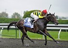 Silver Max <br><a target="blank" href="http://photos.bloodhorse.com/AtTheRaces-1/at-the-races-2013/27257665_QgCqdh#!i=2812773597&k=GLVQKgr">Order This Photo</a>