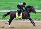 Orb Sizzles Four Furlongs in Final Derby Prep Orb Sizzles Four Furlongs in Final Derby Prep