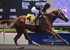 Wonderlandbynight Captures Ontario Debutante Wonderlandbynight Captures Ontario Debutante