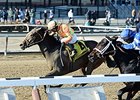 America catches Penwith late to win the Affectionately Stakes. <br><a target="blank" href="http://photos.bloodhorse.com/AtTheRaces-1/At-the-Races-2015/i-cVz3jBM">Order This Photo</a>