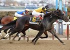 New York Showcase Day Features Seven Stakes New York Showcase Day Features Seven Stakes