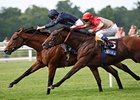 Duke of Marmalade (left) holds off Papal Bull to take the King George VI and Queen Elizabeth Stakes.<br><a target="blank" href="http://www.bloodhorse.com/horse-racing/photo-store?ref=http%3A%2F%2Fpictopia.com%2Fperl%2Fgal%3Fprovider_id%3D368%26ptp_photo_id%3D5274886%26ref%3Dstory">Order This Photo</a>