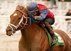 Smiling Tiger takes the San Carlos under Joel Rosario.<br><a target="blank" href="http://www.bloodhorse.com/horse-racing/photo-store?ref=http%3A%2F%2Fpictopia.com%2Fperl%2Fgal%3Fprovider_id%3D368%26ptp_photo_id%3D9412753%26ref%3Dstory">Order This Photo</a>