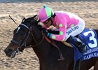 Zardana faces 7 in the Bayakoa.<br><a target="blank" href="http://www.bloodhorse.com/horse-racing/photo-store?ref=http%3A%2F%2Fpictopia.com%2Fperl%2Fgal%3Fprovider_id%3D368%26ptp_photo_id%3D8854973%26ref%3Dstory">Order This Photo</a>