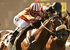 Gervinho, who won a division of the Oceanside, runs in the 1st Divison of the Del Mar Derby.
