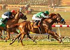 Vagabond Shoes outfinishes Lucayan to win the Del Mar Handicap.