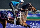 Juddmonte Seeks Fourth Filly and Mare Turf Juddmonte Seeks Fourth Filly and Mare Turf