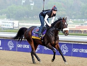 Grace Hall Demands Attention in Apple Blossom Grace Hall Demands Attention in Apple Blossom