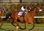 Dave will break from post six in the Pan American Handicap.<br><a target="blank" href="http://www.bloodhorse.com/horse-racing/photo-store?ref=http%3A%2F%2Fpictopia.com%2Fperl%2Fgal%3Fprovider_id%3D368%26ptp_photo_id%3D2744477%26ref%3Dstory">Order This Photo</a>