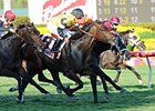 Master Dunker in the Hallandale Beach Stakes.