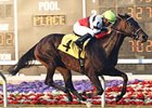 Ariana D will carry 121 pounds in the $150,000 Chicago Handicap at Arlington Park.