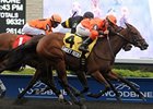Mechaya Ships to Woodbine for Glorious Song Mechaya Ships to Woodbine for Glorious Song