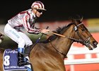 Cirrus des Aigles gets the win in the in the Dubai Sheema Classic at Meydan.