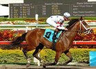 Twelve Drawn For Intriguing Fla. Derby Twelve Drawn For Intriguing Fla. Derby