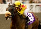 Sham winner Alphie's Bet tops the field in the TVG Snow Chief Stakes.<br><a target="blank" href="http://www.bloodhorse.com/horse-racing/photo-store?ref=http%3A%2F%2Fpictopia.com%2Fperl%2Fgal%3Fprovider_id%3D368%26ptp_photo_id%3D8825731%26ref%3Dstory">Order This Photo</a>