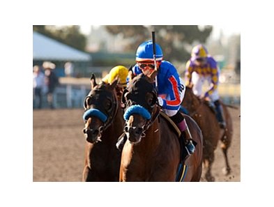 Game On Dude
