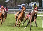 Daisy Devine won the Marie G. Krantz Memorial Handicap by 1 3/4 lengths on Jan. 26.