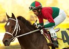 Jeranimo takes on 9 in the Eddie Read, including French invader Sofast.